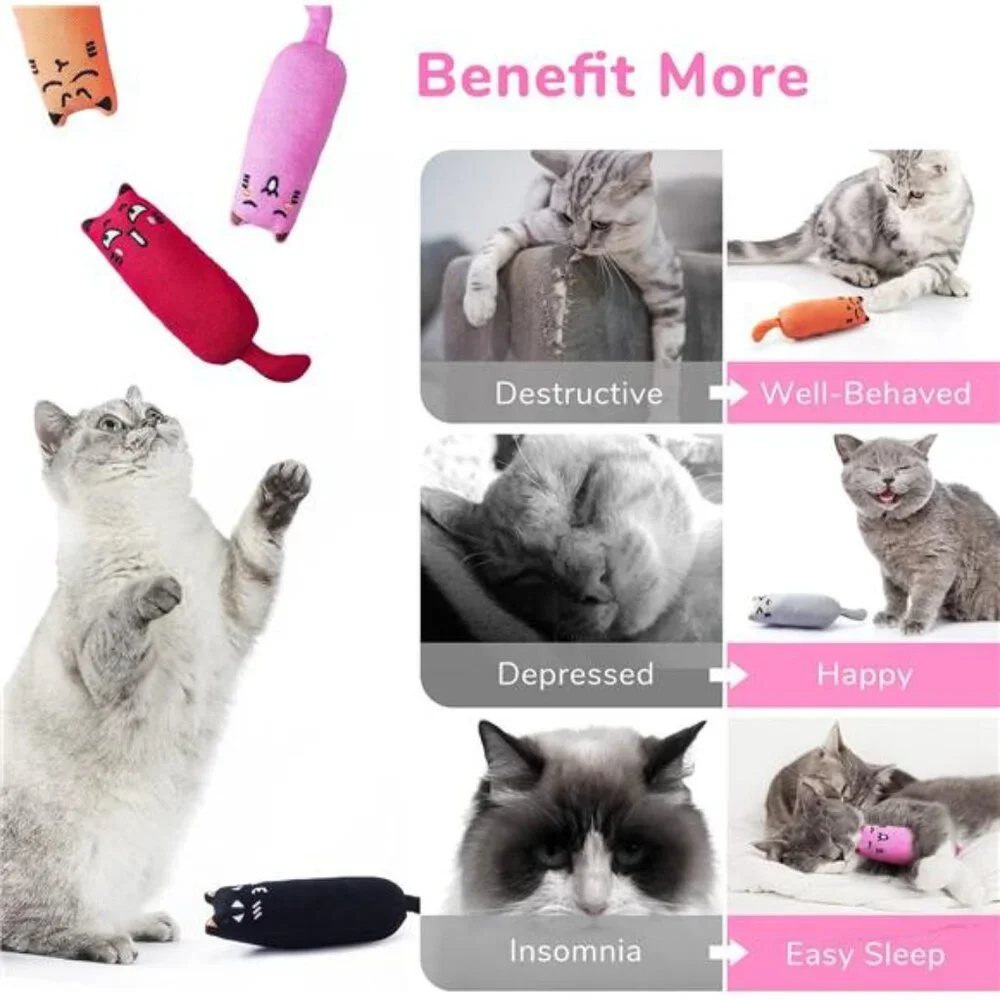 5Pcs Bite Resistant Catnip Toy for Cats,Catnip Filled Cartoon Mice Cat